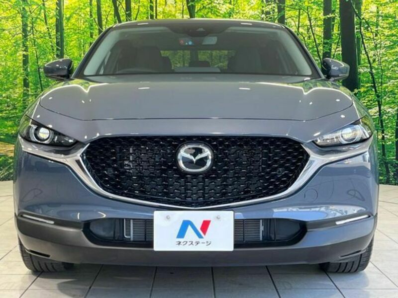 CX-30