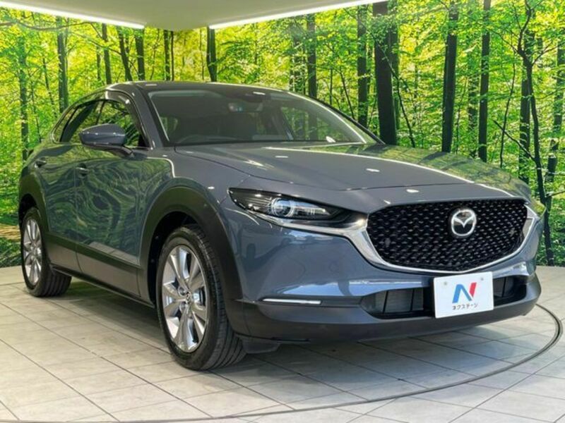 CX-30