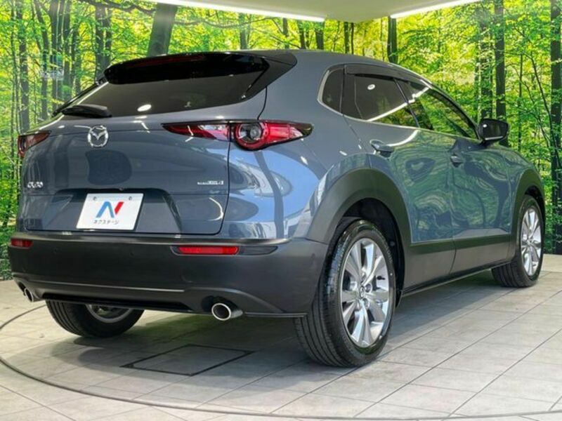 CX-30