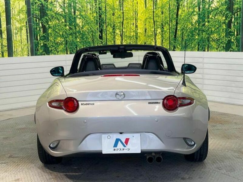 ROADSTER