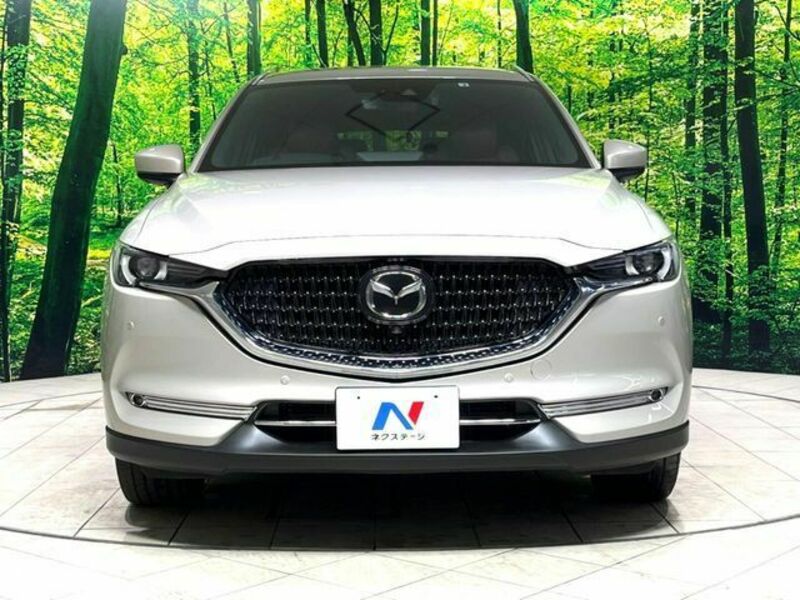 CX-8
