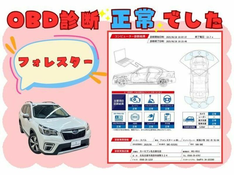 FORESTER