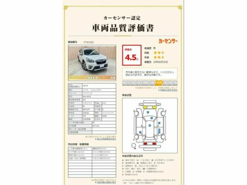 FORESTER