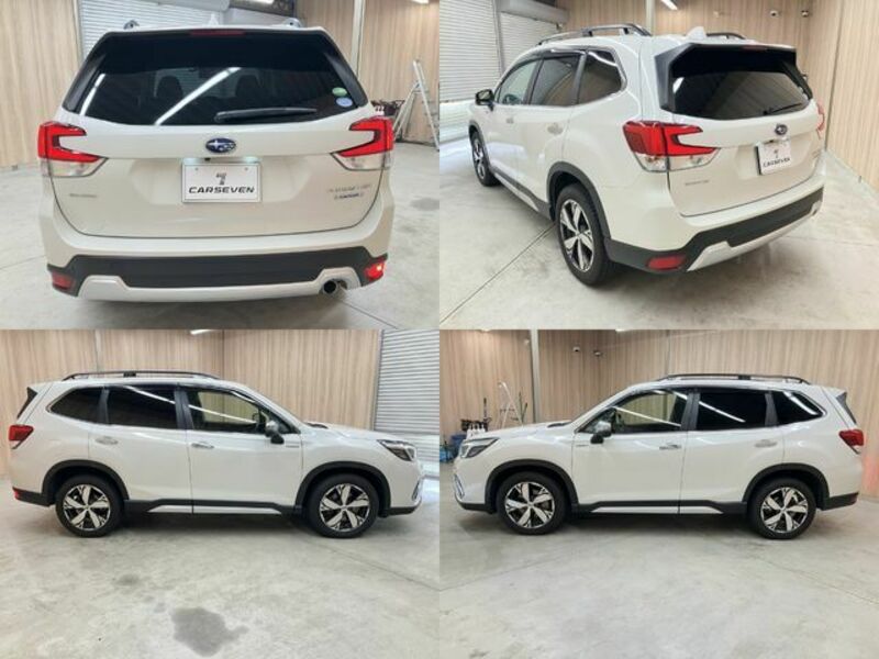 FORESTER