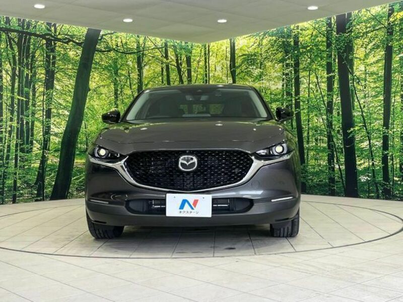 CX-30