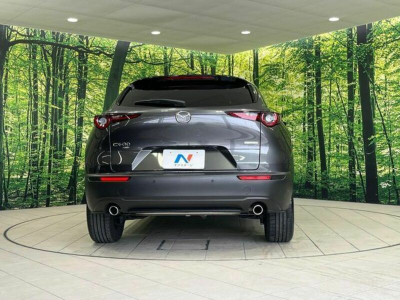 CX-30