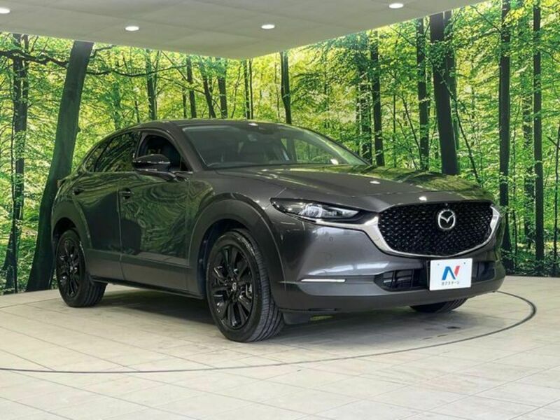 CX-30