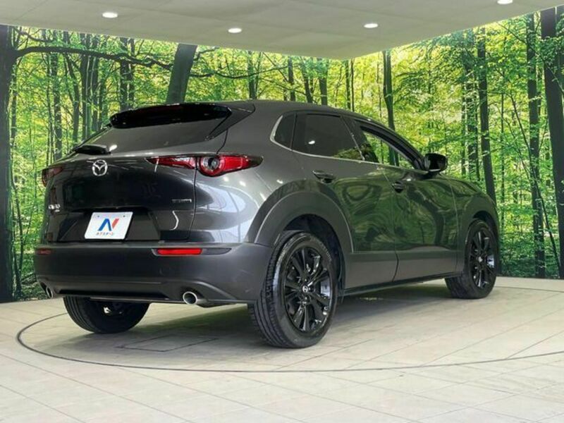 CX-30