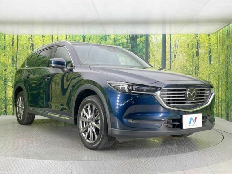 CX-8