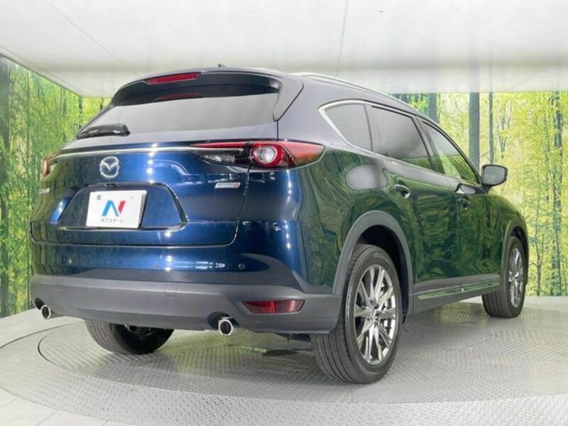 CX-8