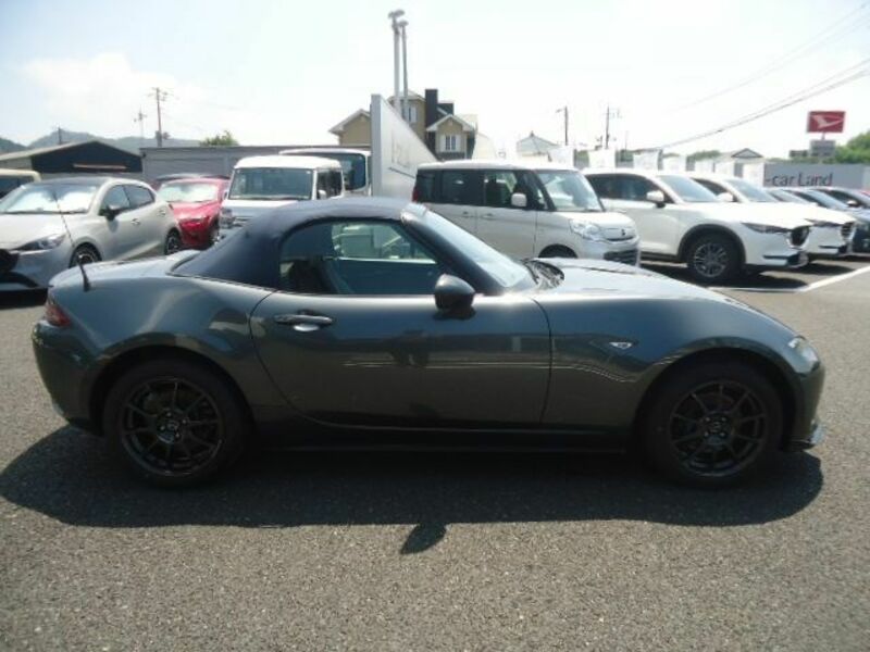 ROADSTER
