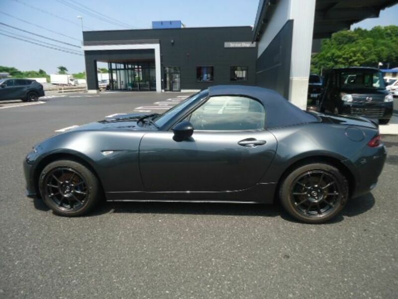 ROADSTER