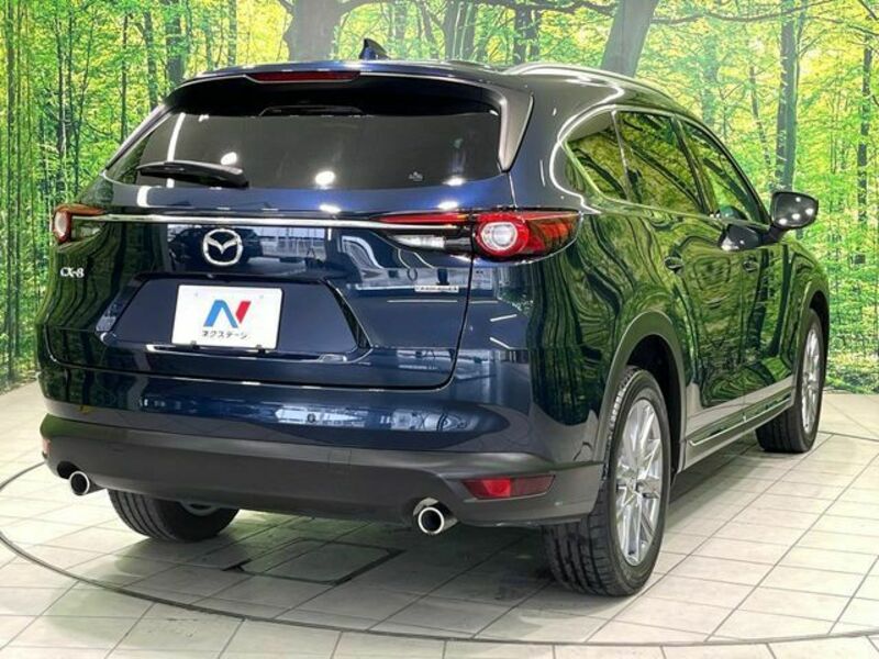 CX-8