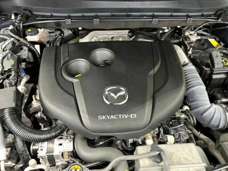 CX-8