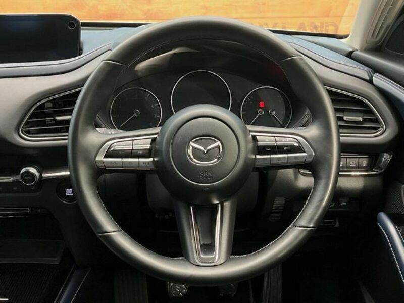 CX-30
