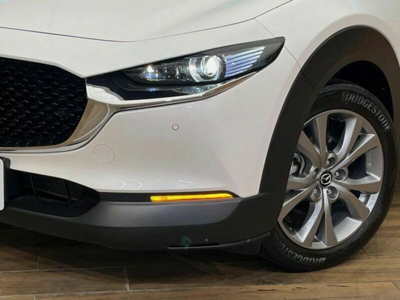 CX-30