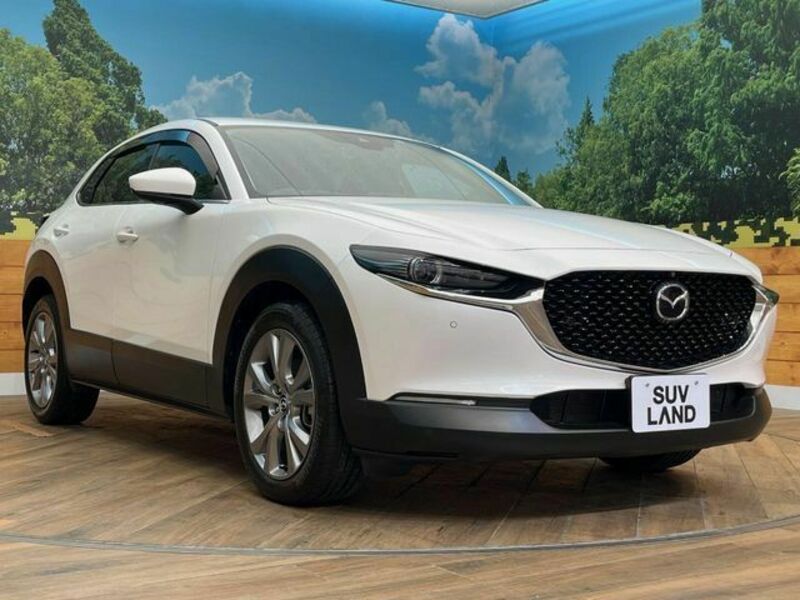 CX-30