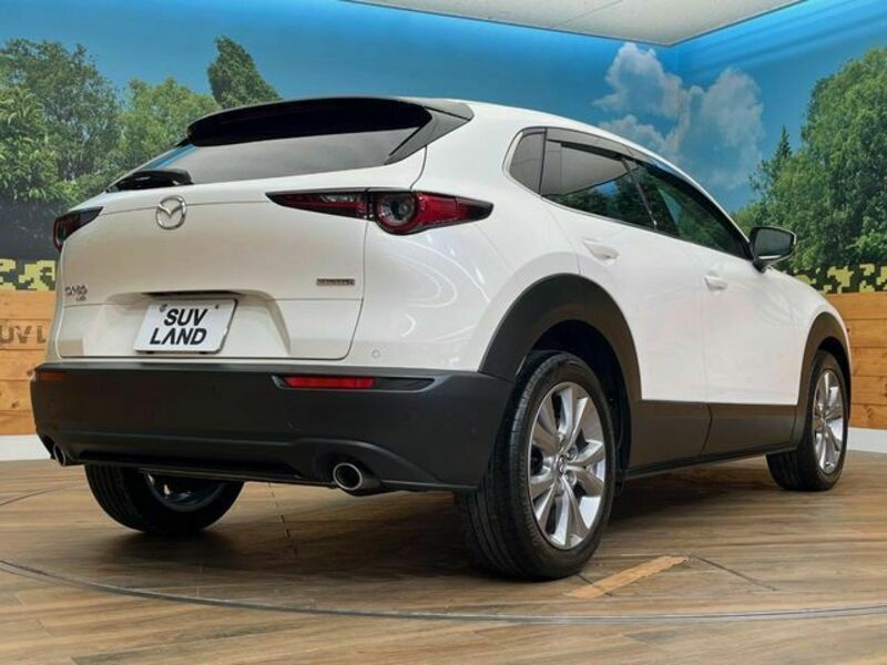CX-30