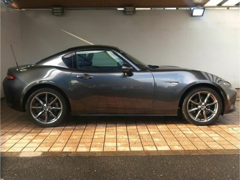ROADSTER RF