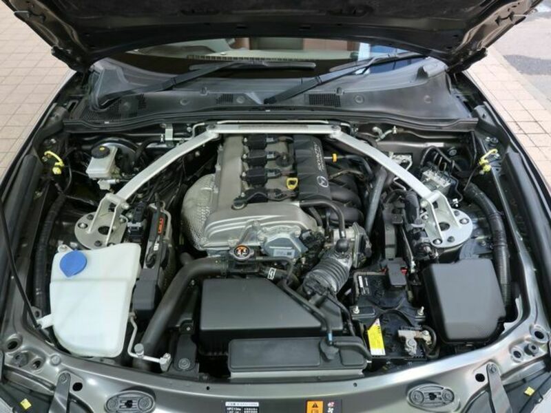 ROADSTER RF