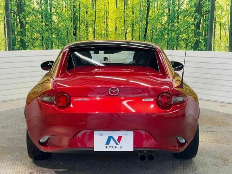 ROADSTER RF