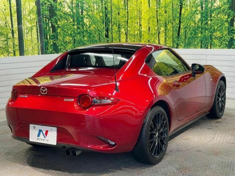 ROADSTER RF