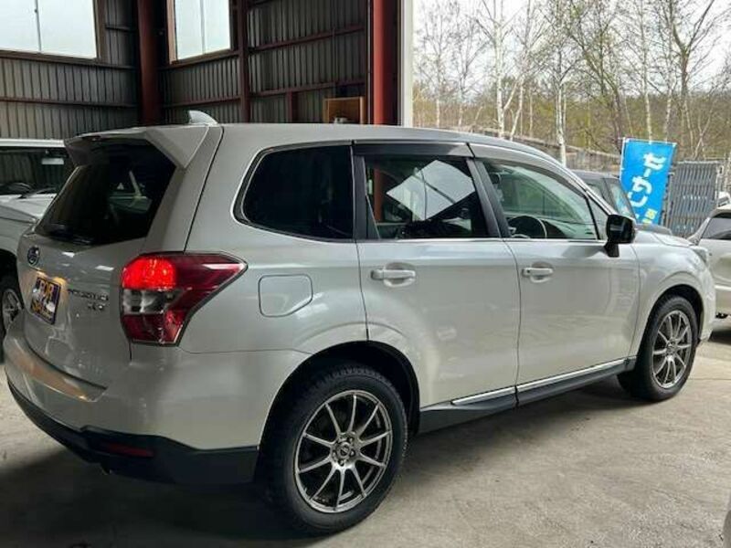 FORESTER
