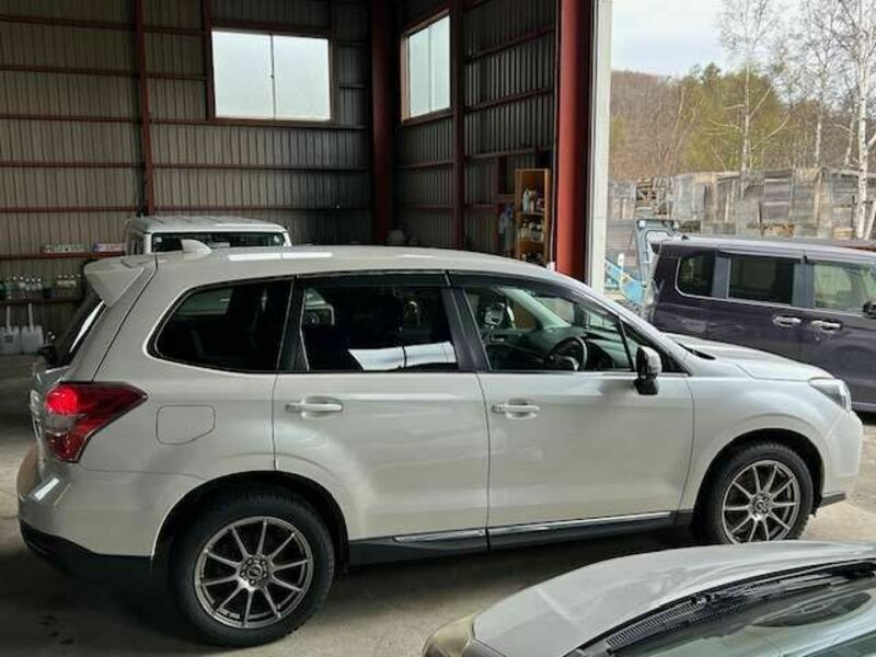 FORESTER
