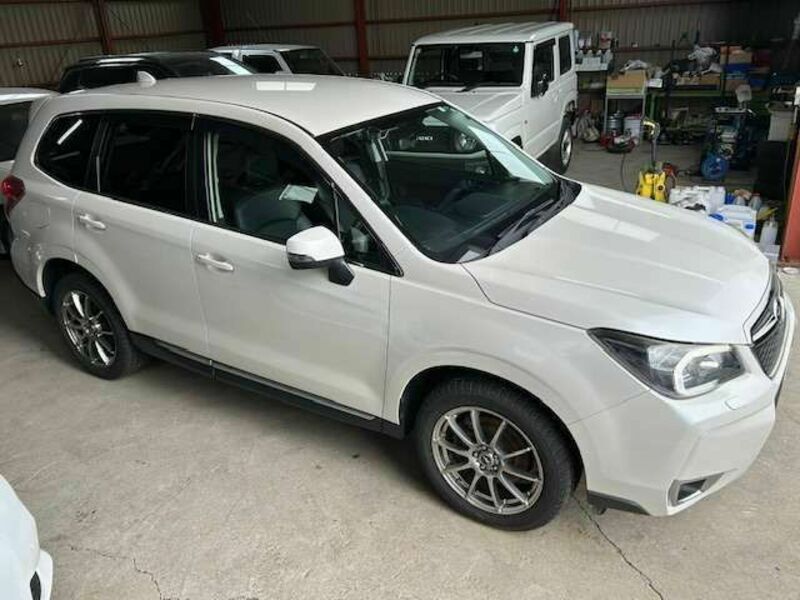 FORESTER