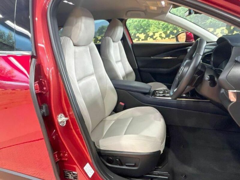 CX-30