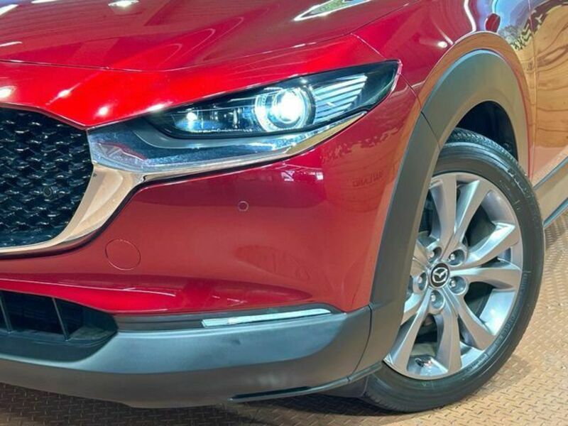 CX-30