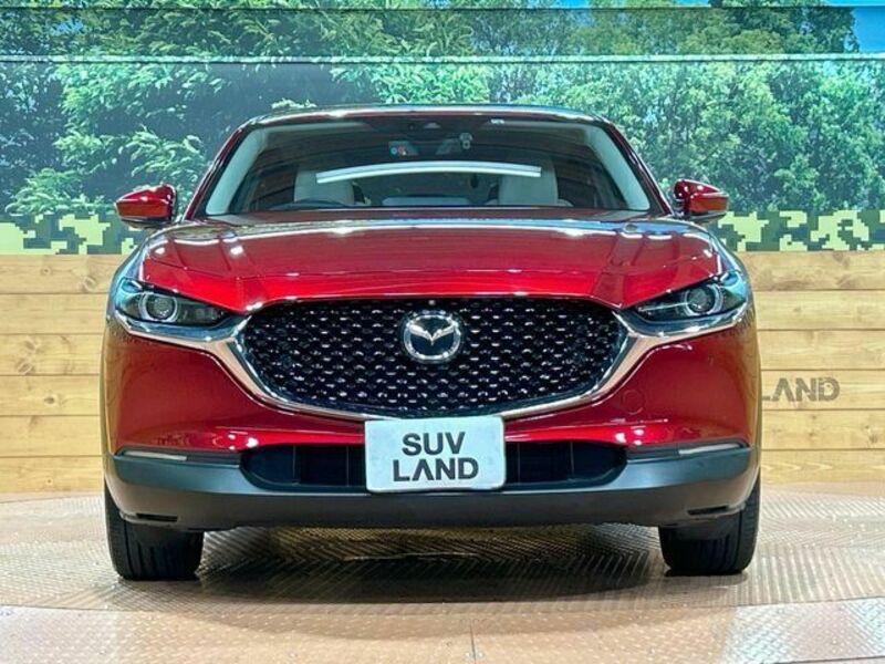 CX-30