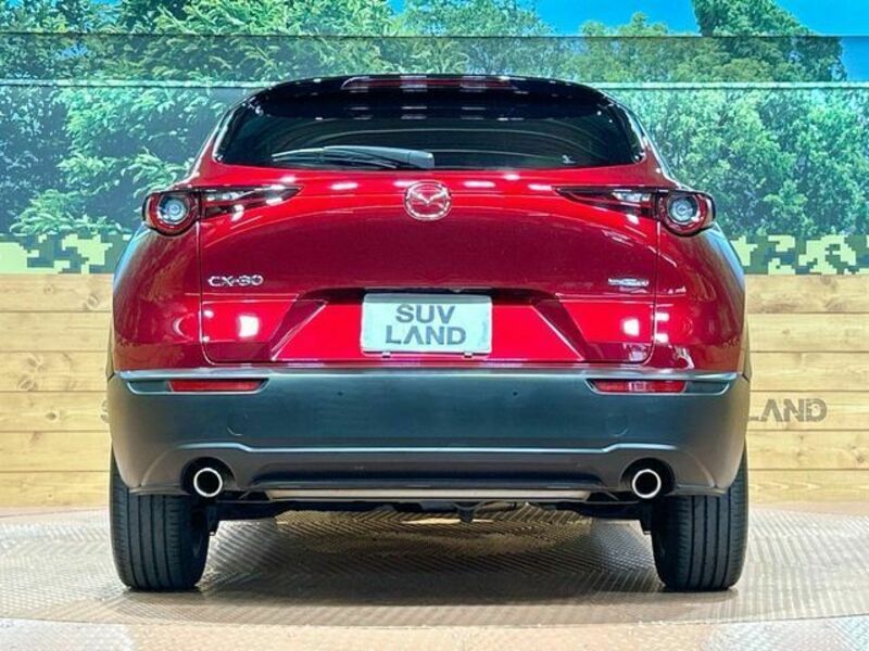 CX-30