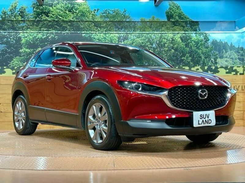 CX-30