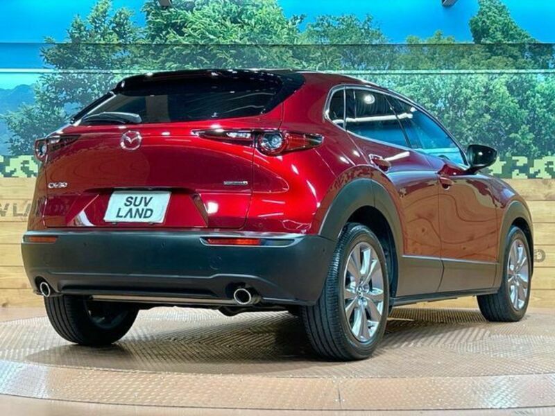 CX-30