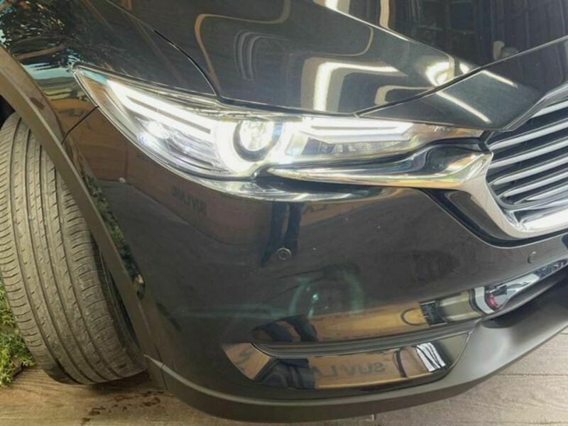CX-8