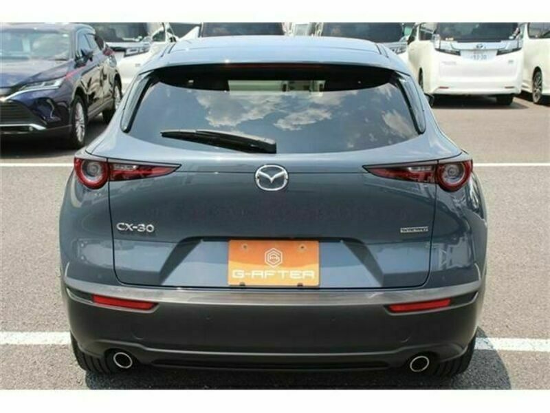 CX-30