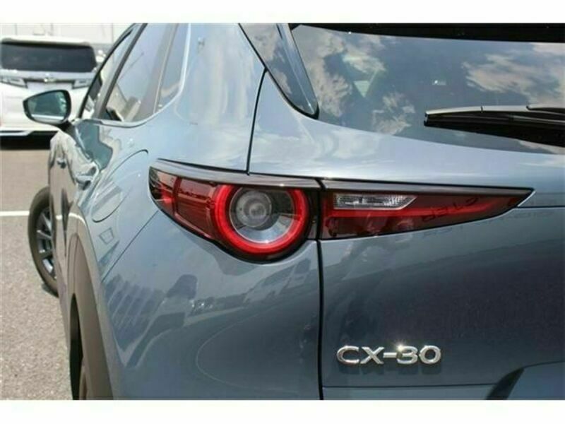 CX-30