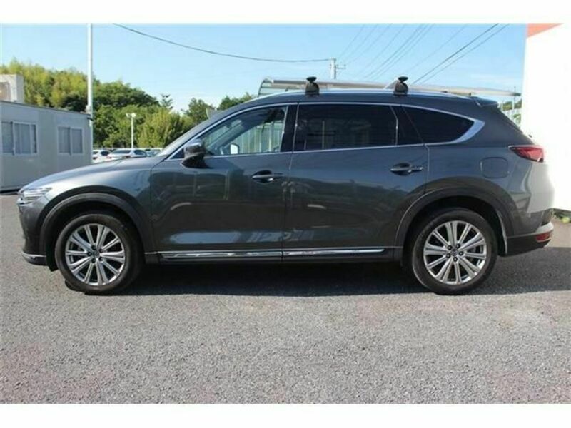 CX-8