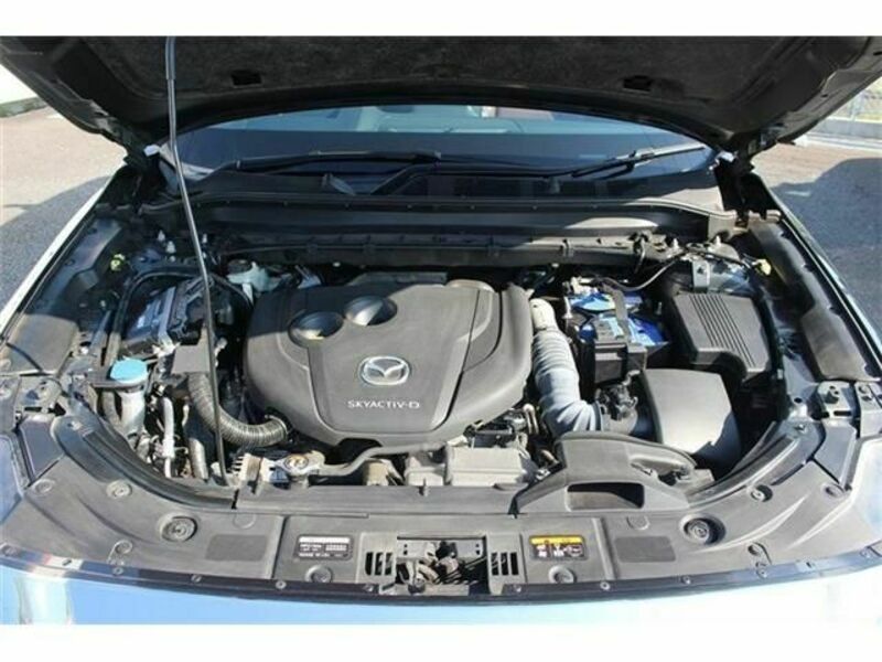 CX-8