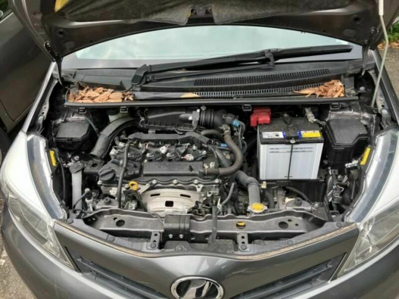 VITZ
