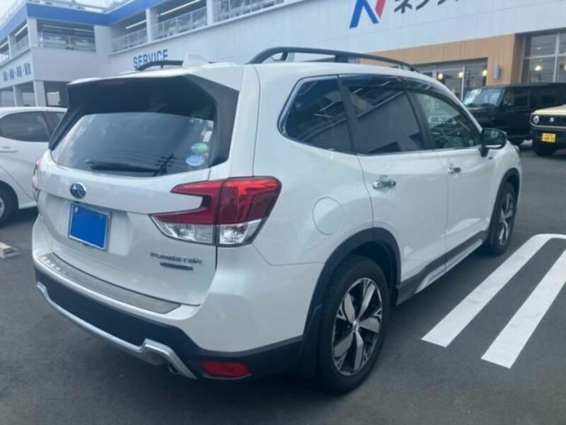 FORESTER