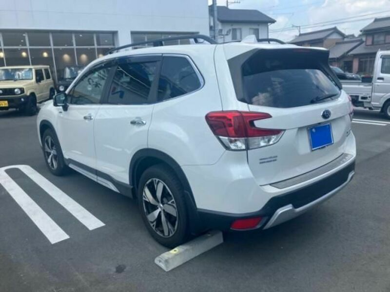 FORESTER