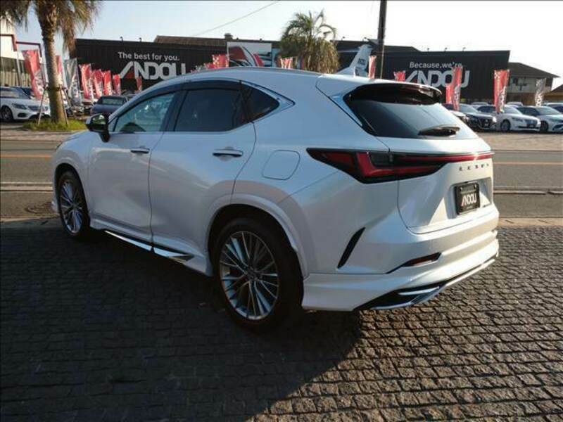 NX