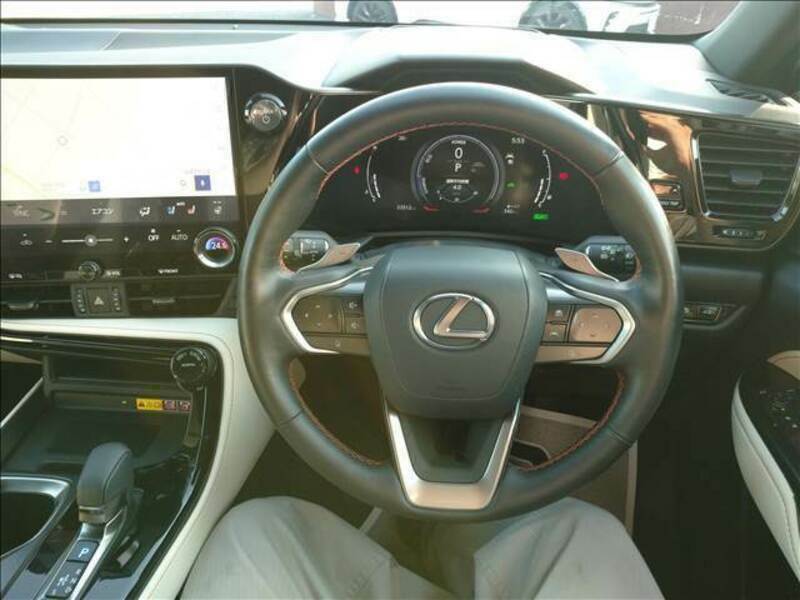 NX