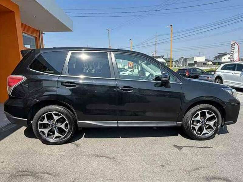 FORESTER