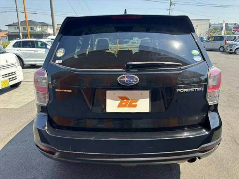 FORESTER