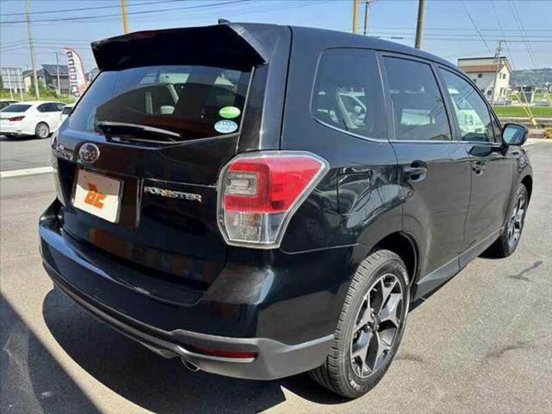 FORESTER