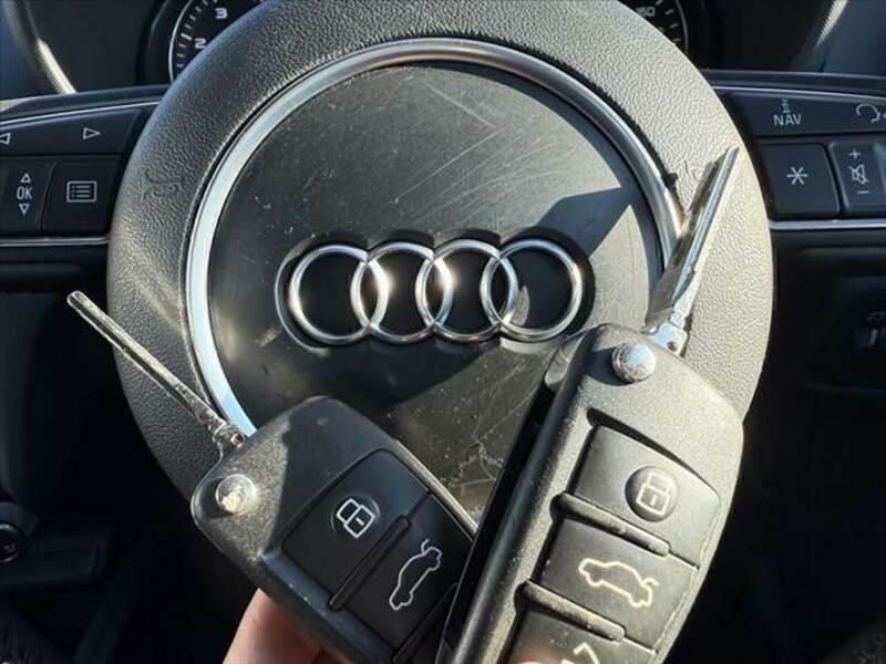 A1