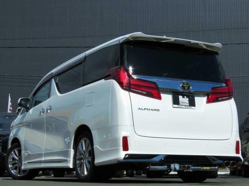 ALPHARD-6